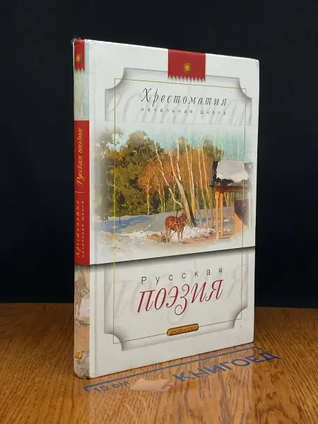 ДРОФА Русская поэзия