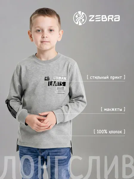 Zebra Свитшот для мальчика