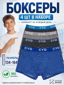 Трусы боксеры SunState Трусы детские, 4 шт