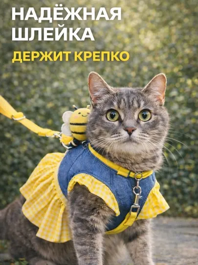 Шлейка для кошек и собак с поводком и платьем, комплект для безопасной прогулки