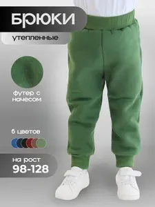 Брюки утепленные Клинквест
