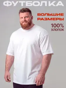 Футболка Hanster