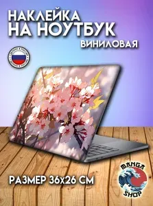 Наклейка на ноутбук