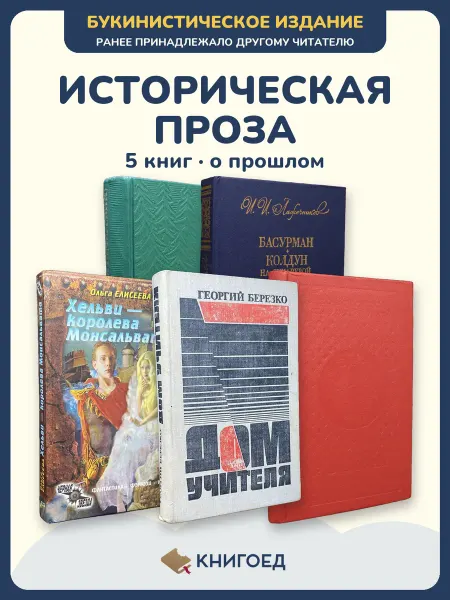 Книгоед исторические романы Мельников Лажечников Елисеева Березко