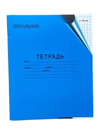 Тетради 12 листов - 10 шт