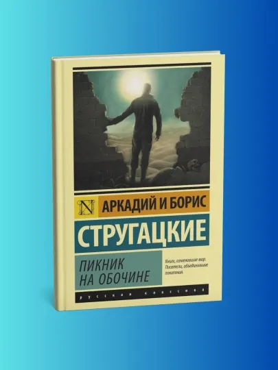 Пикник на обочине, Стругацкий