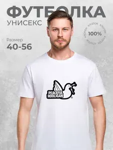 Футболка PEACEFUL HOOLIGAN