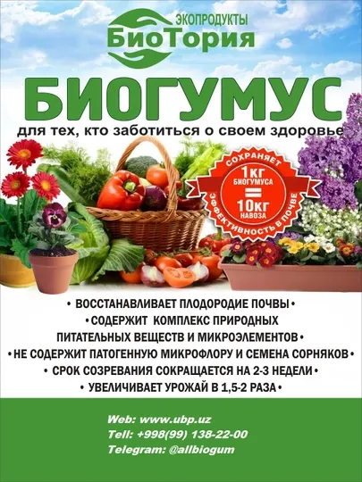 Биогумус универсальный, для растений и комнатных цветов, удобрение (Гумус)