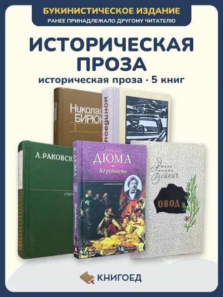 Книгоед исторические романы Бирюков Пронин Раковский Дюма Войнич
