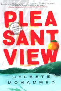 Pleasantview / Книга на Английском