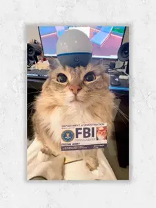 Плакат-мем "Кот FBI"