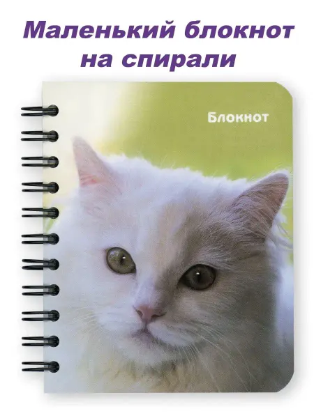 Издательство Власта Маленький блокнот для девочек в клетку для записей