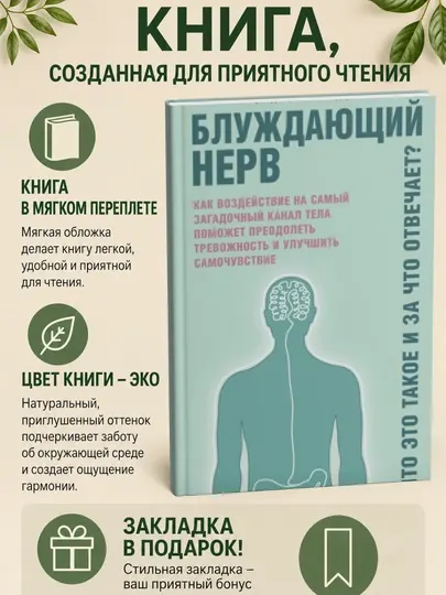 Блуждающий нерв. Что это такое и за что отвечает? Наваз Хабиб