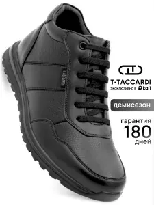 Кроссовки T.TACCARDI демисезонные