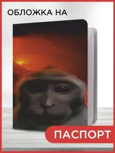 Обложка на паспорт мем