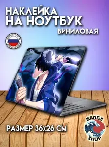 Наклейка на ноутбук