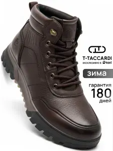 Ботинки T.TACCARDI