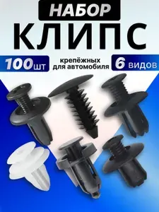 Клипсы автомобильные, набор 100 штук