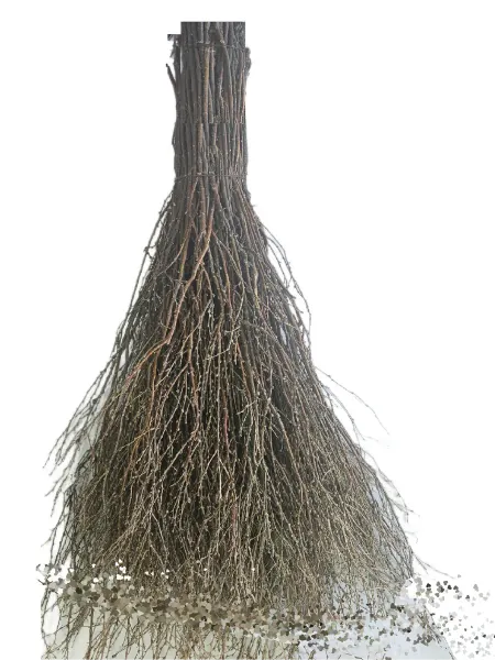 Метла (веник) дворника уличная сибирьковая большая