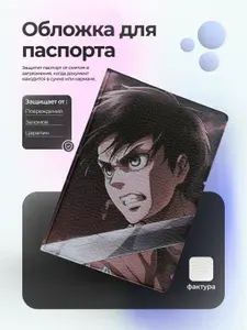 Обложка на паспорт с Эреном