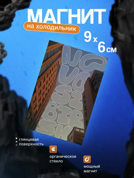 Стильный магнит на холодильник (Новосибирск)