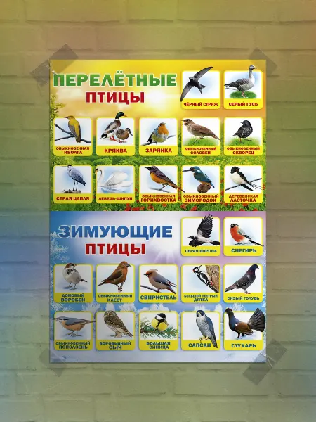 Frykt Постер "в детскую"