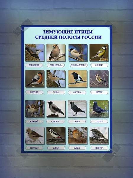 Frykt Постер "в детскую"