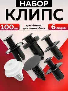 Клипсы автомобильные, набор 100 штук
