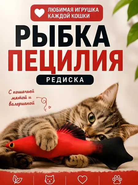 Нет бренда Игрушка для кошек "Пецилия редиска"
