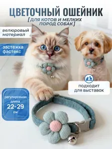 Ошейник с бубенчиком