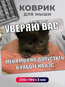 Коврик для мышки с приколом мем кот котик Уверяю вас