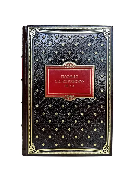 Книжный терем Поэзия серебряного века. Подарочная книга в коже