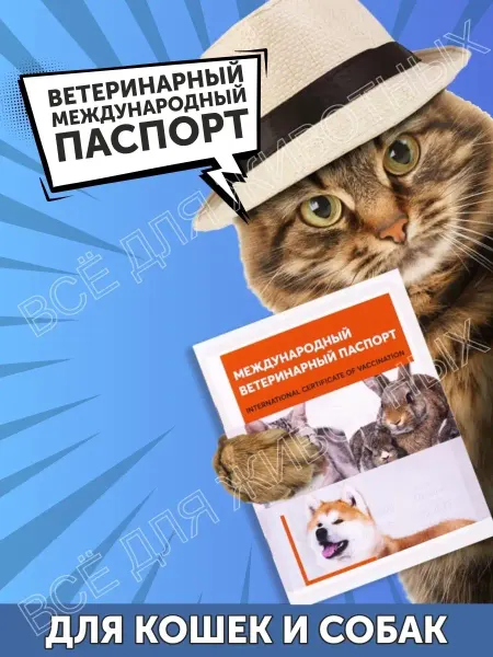 Зоотовары Ветеринарный паспорт международный для кошек собак животных
