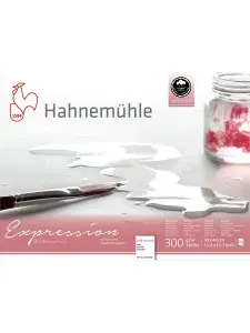 Альбом для рисования Hahnemuhle "Expression" акварель, 300 г/м2, 30х40 см, среднее зерно, 20 листов 10628667
