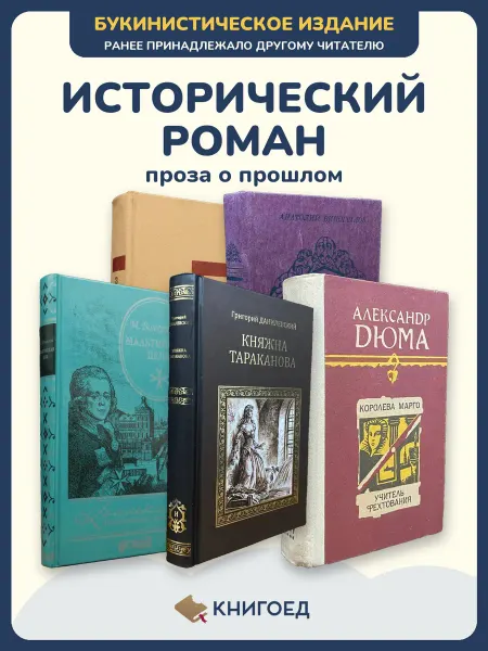 Книгоед Исторические романы Гулиа Виноградов Волконский классика