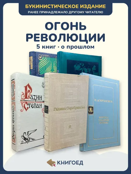 Книгоед исторические романы Виноградов Долгий Чапыгин Серебрякова