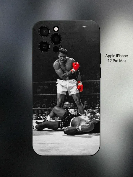 ABX-case Чехол на iPhone 12 Pro Max женский