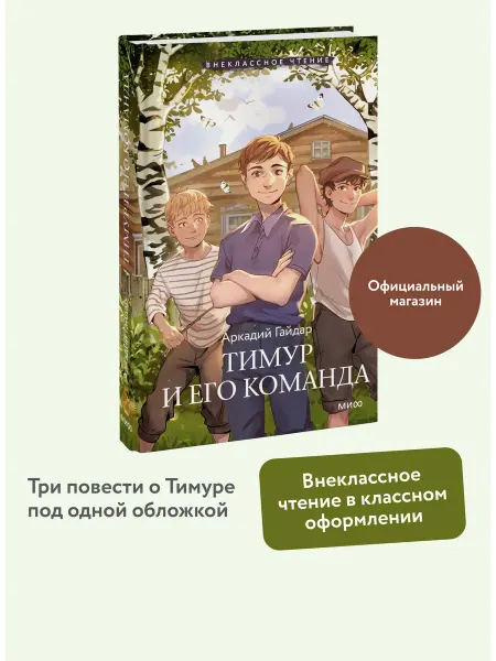 Издательство Манн, Иванов и Фербер Тимур и его команда. Книга для внеклассного чтения