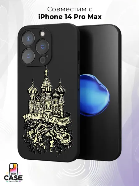 Cover Case Чехол на iPhone 14 Pro Max с православным принтом