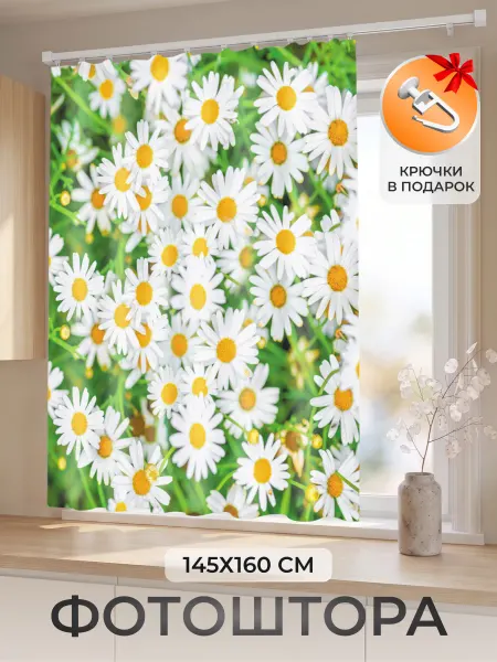 Homepick Фотоштора короткая на кухню, 1 шт 145х160 см, ромашки