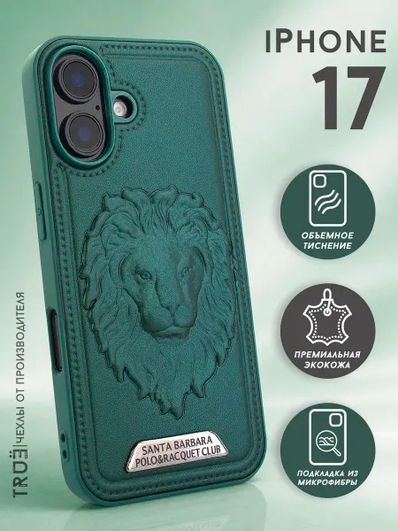 TRUE:Case Чехол на iPhone 17 мужской