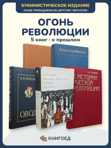 Книгоед Исторические романы Флобер Серебрякова Войнич Садовяну