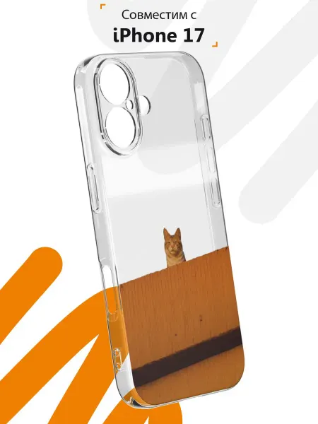 Мобилиус Чехол на iPhone 17 с принтом Эстетика