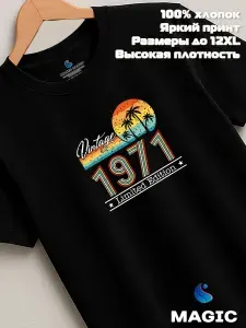 Футболка Всё в цвет Футболка хлопковая Vintage 1971 Limited Edition