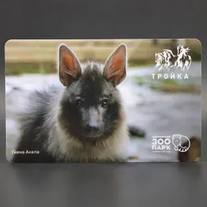 Транспортная карта Тройка коллекционная - Гиена Акела. Московский зоопарк (вариант 2)