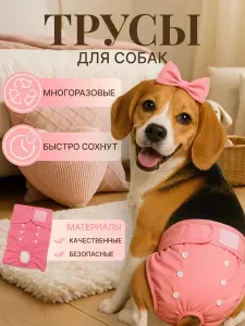 Трусы для собаки во время течки многоразовые XS, подгузники для собак миниатюрных пород впитывающие