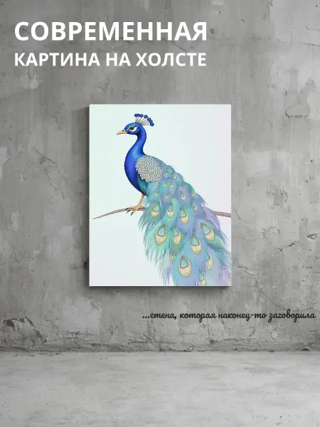 DZiVA Картина на холсте Павлин 20x30 см
