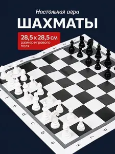 Настольная классическая игра "Шахматы" в пакете, игры для всей семьи
