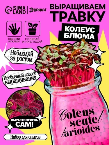 Опыты и эксперименты "Выращиваем травку" / детский набор для выращивания растений