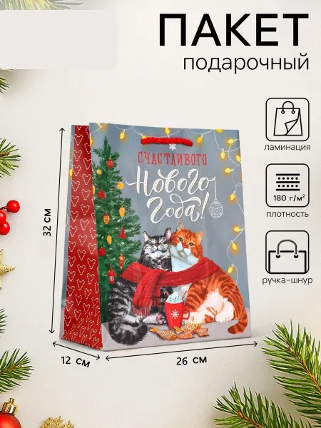 DH пакет подарочный новогодний 32х26х12см